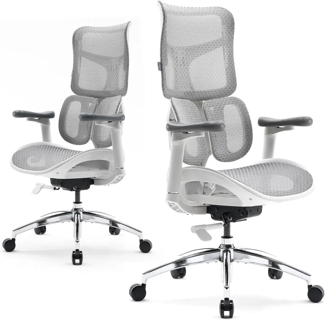 Doro S100 Ergonomic Office Chair - with Dual Dynamic Lumbar Support, 5-Level Adjustable Backrest, 4D Coordinated Armrests